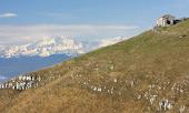 07 Zoom di Monte Rosa....